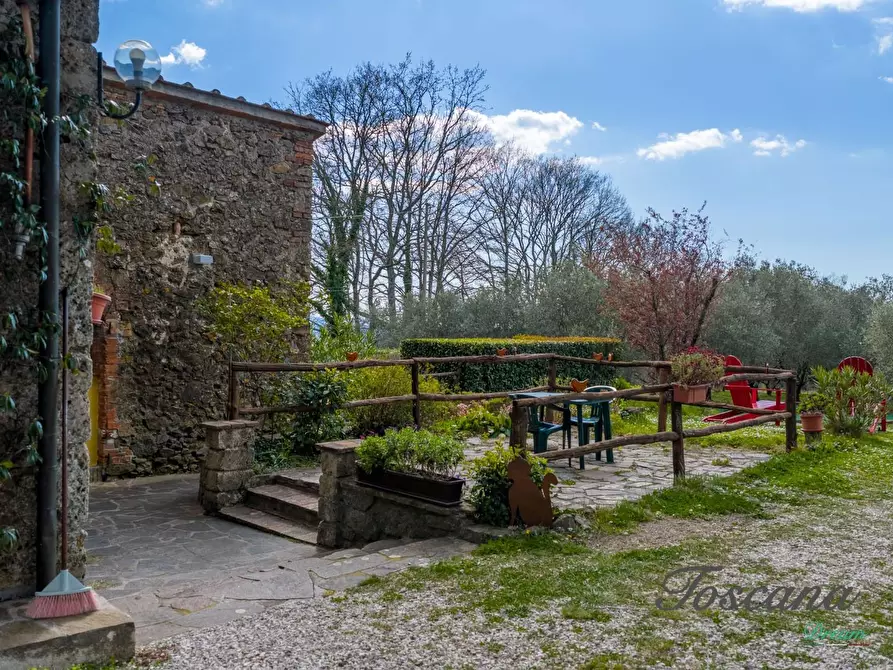 Immagine 73 di Casa colonica in vendita  a Massa Marittima