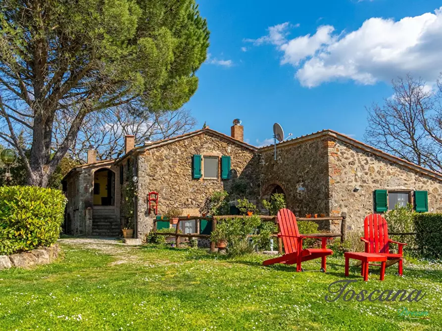 Immagine 2 di Casa colonica in vendita  a Massa Marittima