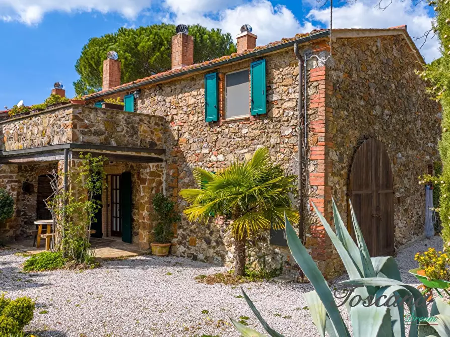 Immagine 7 di Casa colonica in vendita  a Massa Marittima