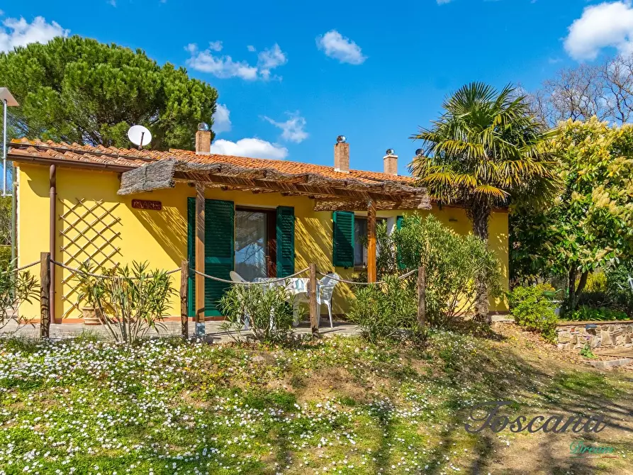 Immagine 40 di Casa colonica in vendita  a Massa Marittima