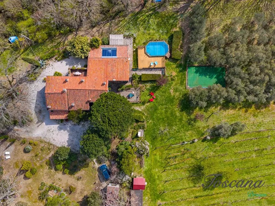 Immagine 16 di Casa colonica in vendita  a Massa Marittima