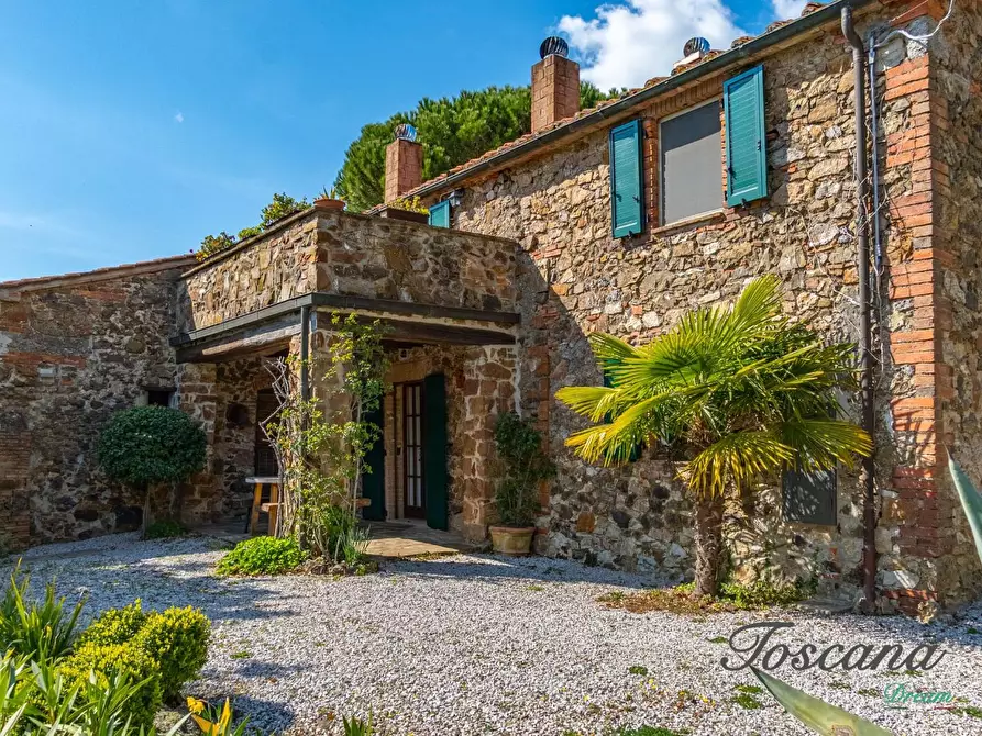 Immagine 3 di Casa colonica in vendita  a Massa Marittima