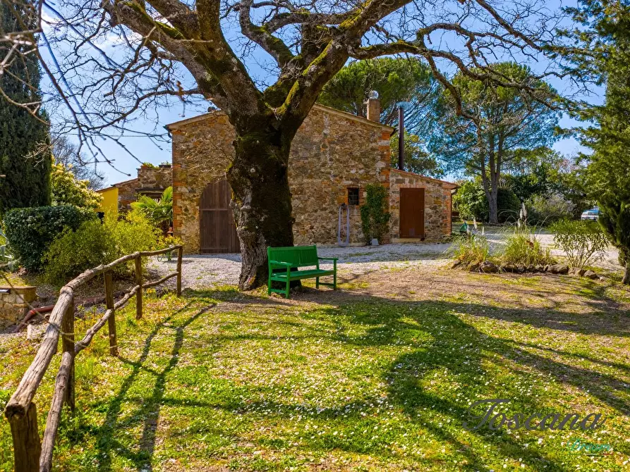 Immagine 10 di Casa colonica in vendita  a Massa Marittima