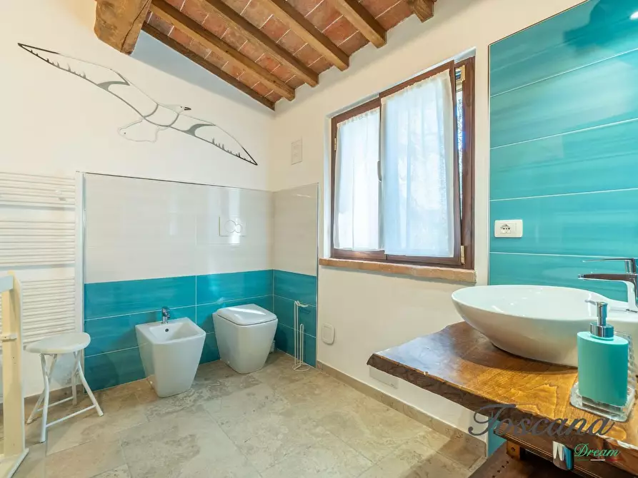 Immagine 47 di Casa colonica in vendita  a Massa Marittima