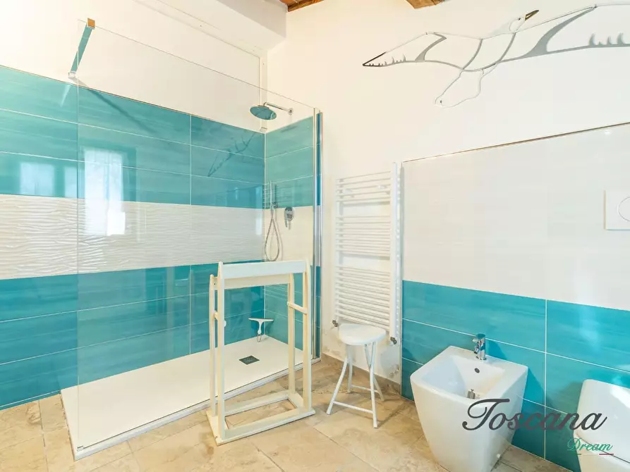 Immagine 48 di Casa colonica in vendita  a Massa Marittima