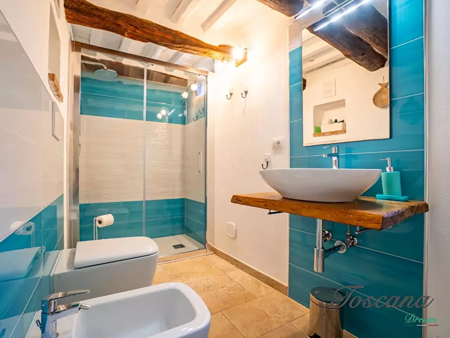 Immagine 61 di Casa colonica in vendita  a Massa Marittima