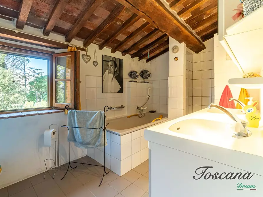 Immagine 37 di Casa colonica in vendita  a Massa Marittima