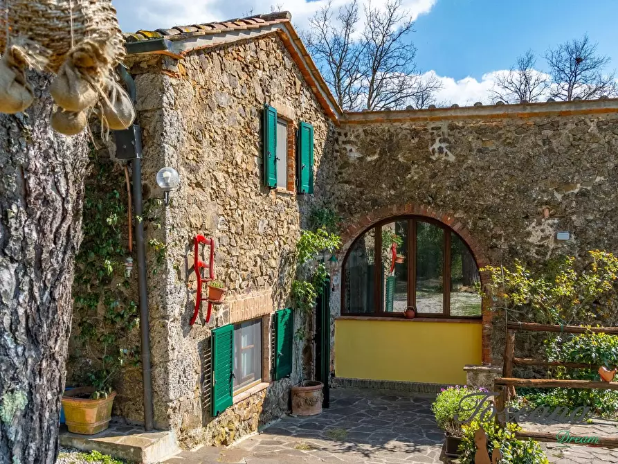 Immagine 17 di Casa colonica in vendita  a Massa Marittima