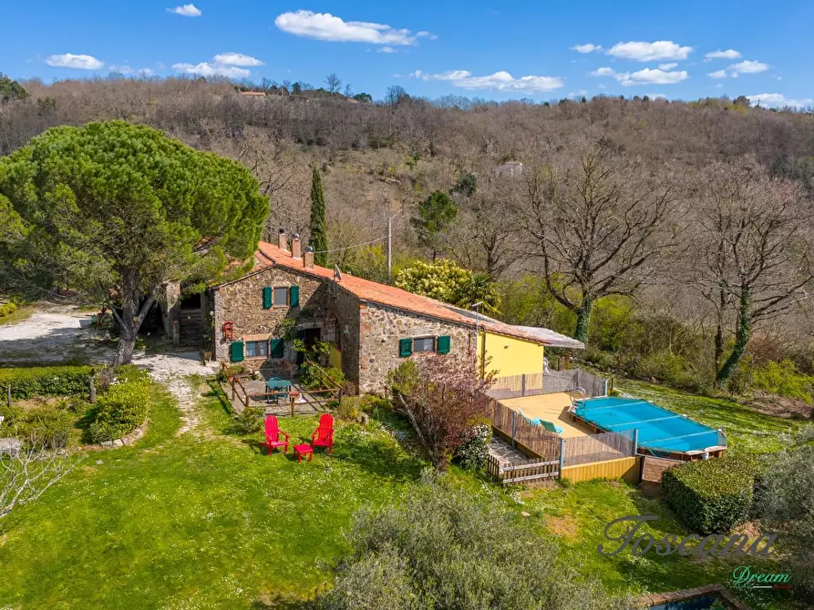 Immagine 8 di Casa colonica in vendita  a Massa Marittima