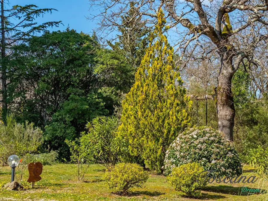 Immagine 80 di Casa colonica in vendita  a Massa Marittima