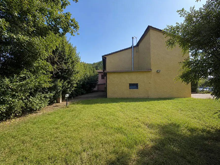 Immagine 12 di Porzione di casa in vendita  a Santa Maria A Monte