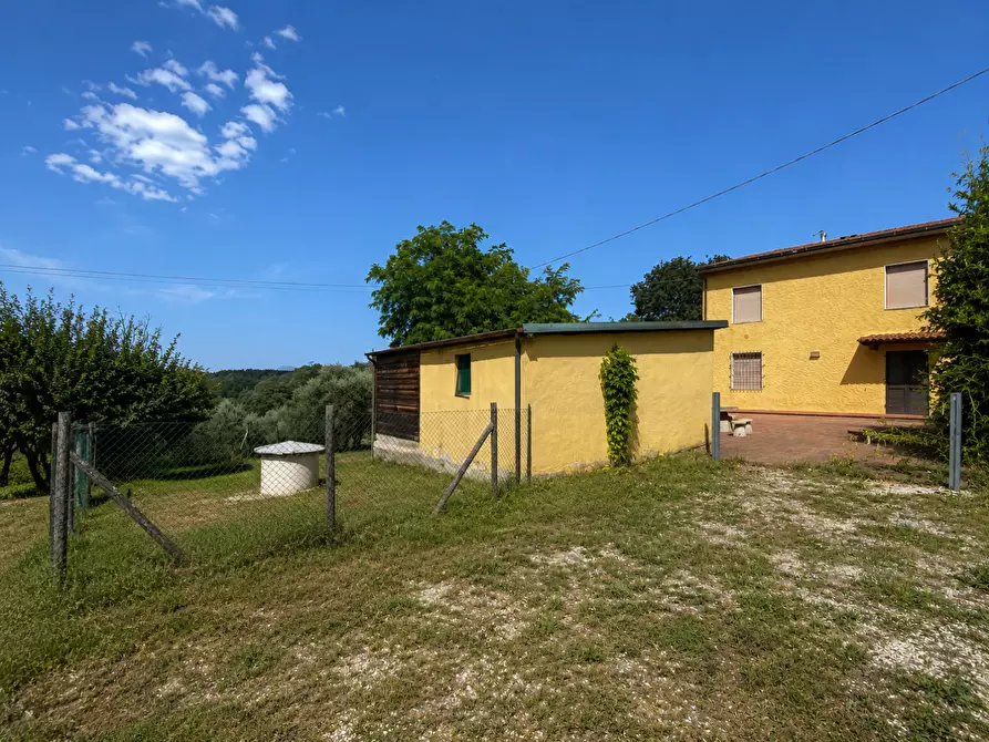 Immagine 6 di Porzione di casa in vendita  a Santa Maria A Monte