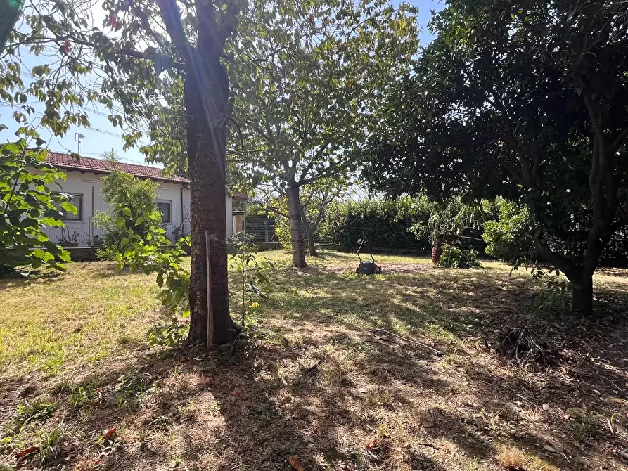 Immagine 26 di Casa indipendente in vendita  a Seravezza