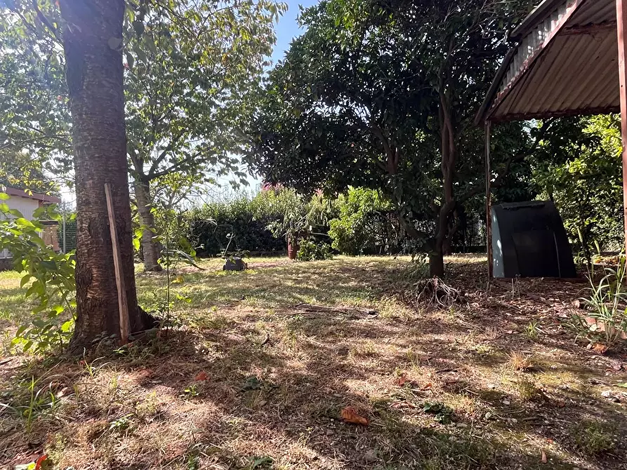 Immagine 25 di Casa indipendente in vendita  a Seravezza