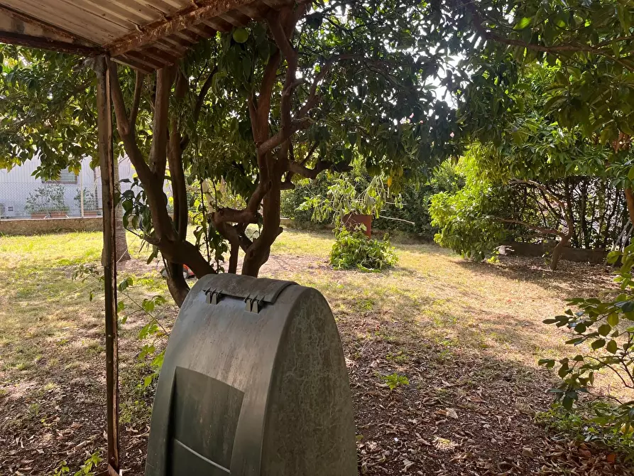 Immagine 2 di Casa indipendente in vendita  a Seravezza