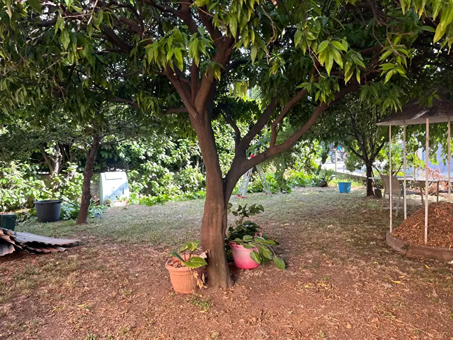 Immagine 6 di Casa indipendente in vendita  a Seravezza