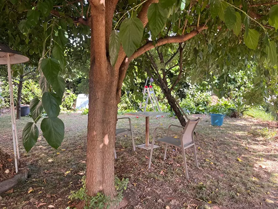 Immagine 5 di Casa indipendente in vendita  a Seravezza