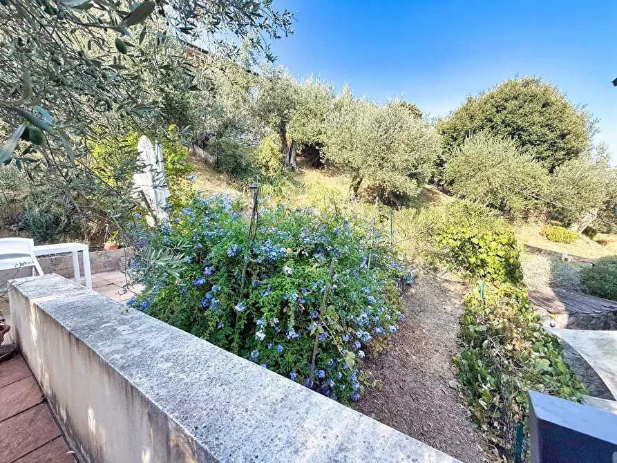 Immagine 30 di Appartamento in vendita  a Suvereto