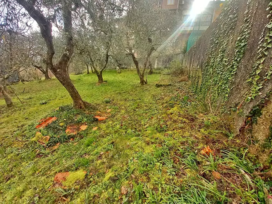 Immagine 64 di Villa in vendita  a Montaione