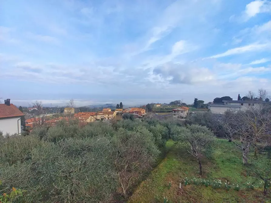 Immagine 75 di Villa in vendita  a Montaione