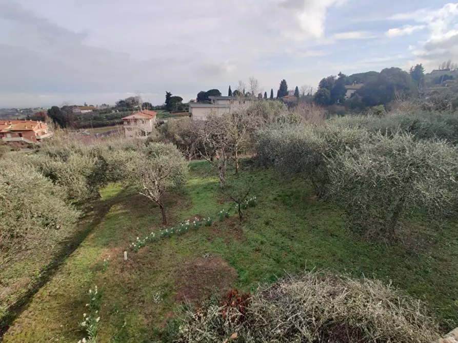 Immagine 83 di Villa in vendita  a Montaione