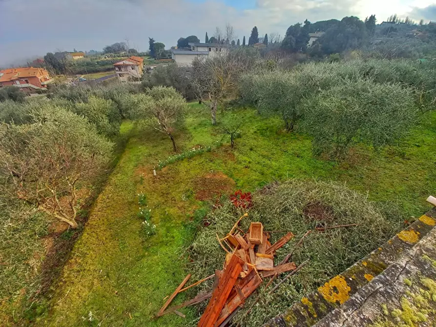 Immagine 76 di Villa in vendita  a Montaione