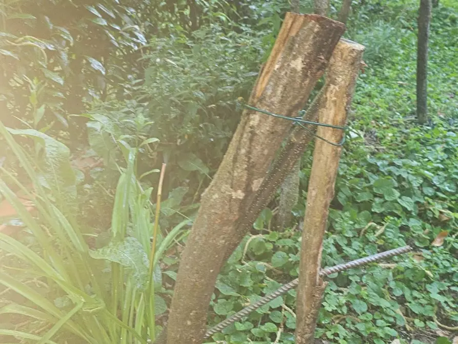Immagine 2 di Villetta a schiera in vendita  a Marliana