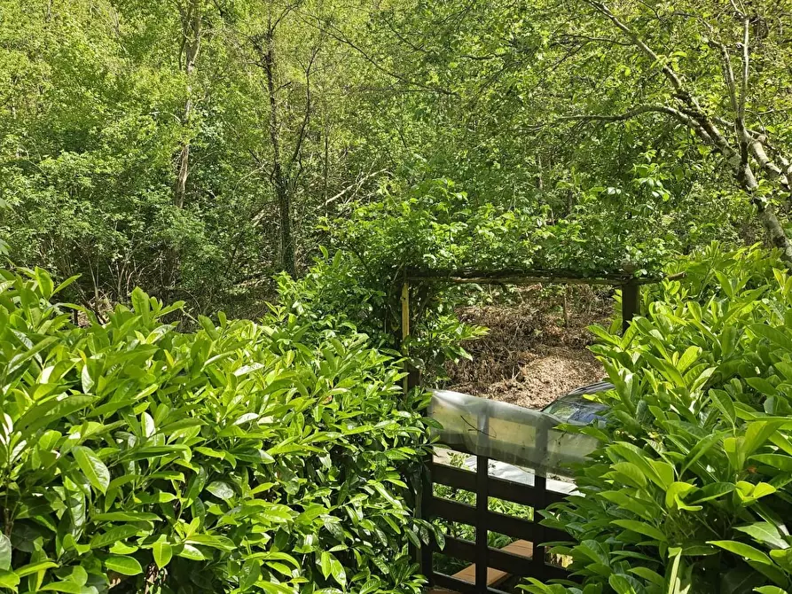 Immagine 26 di Villetta a schiera in vendita  a Marliana