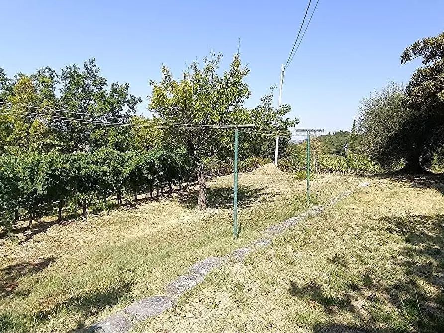 Immagine 38 di Terratetto in vendita  a Casole D'elsa
