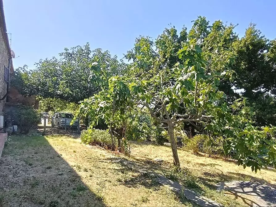 Immagine 37 di Terratetto in vendita  a Casole D'elsa