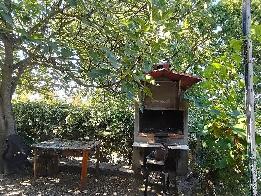 Immagine 4 di Terratetto in vendita  a Casole D'elsa