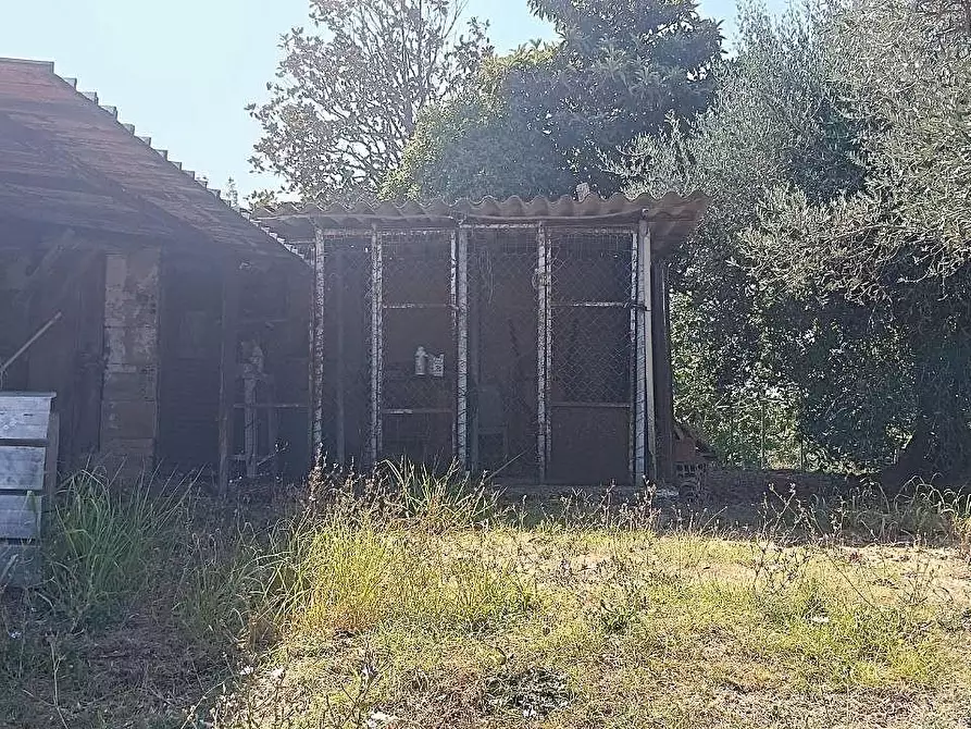 Immagine 39 di Terratetto in vendita  a Casole D'elsa