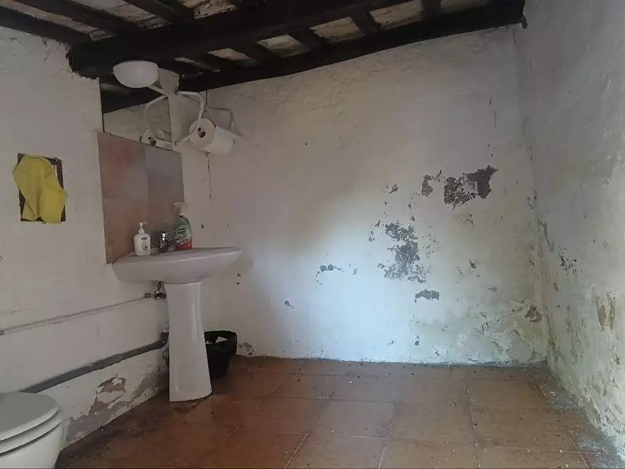 Immagine 7 di Terratetto in vendita  a Casole D'elsa
