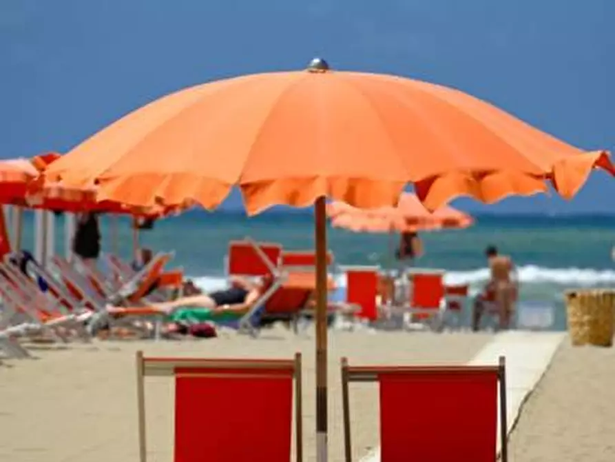 Immagine 1 di Appartamento in vendita  a Viareggio