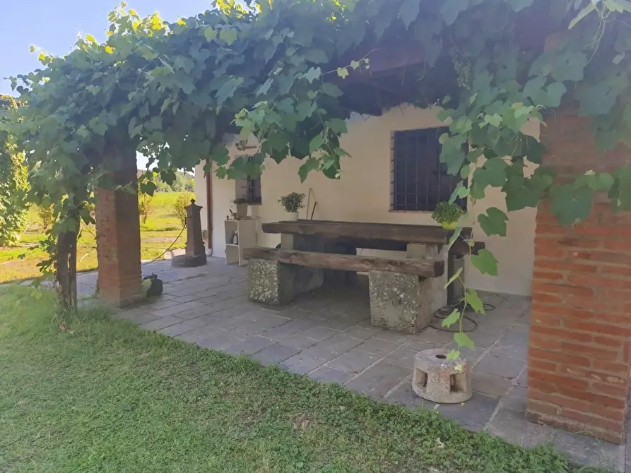 Immagine 4 di Appartamento in affitto  a Calcinaia