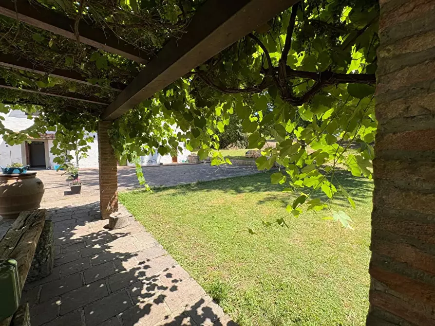 Immagine 8 di Appartamento in affitto  a Calcinaia