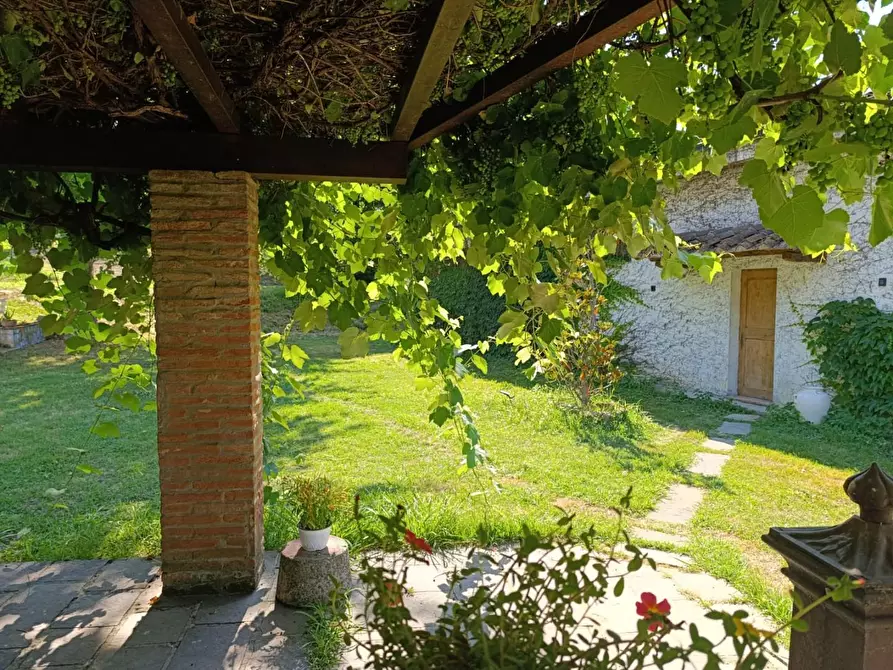 Immagine 1 di Appartamento in affitto  a Calcinaia