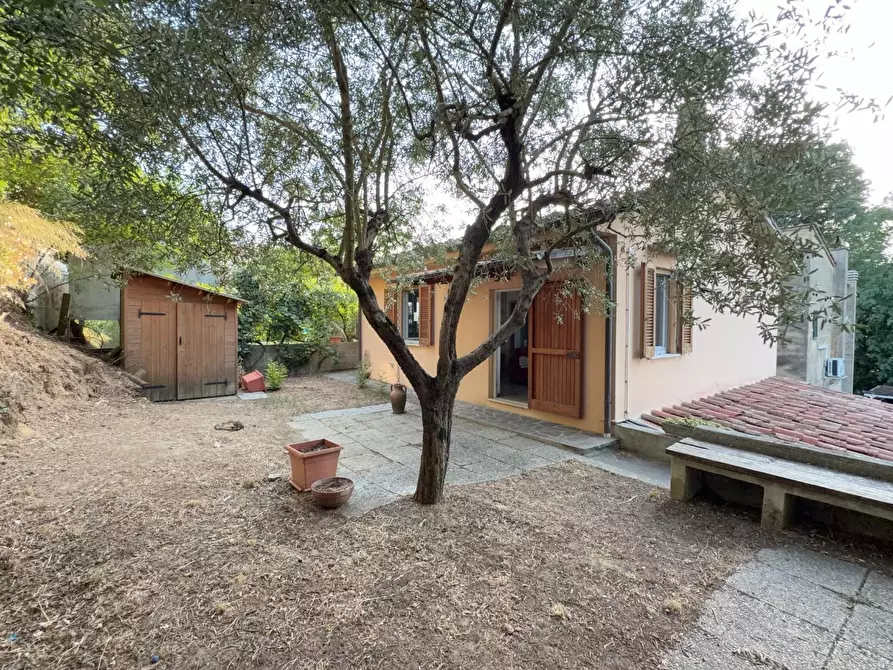 Immagine 2 di Casa indipendente in vendita  a Casciana Terme Lari