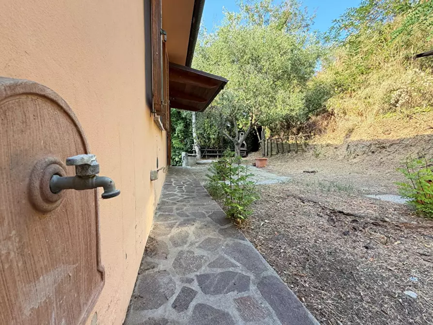 Immagine 3 di Casa indipendente in vendita  a Casciana Terme Lari