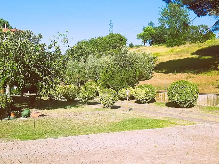 Immagine 4 di Villa in vendita  a Castellina Marittima
