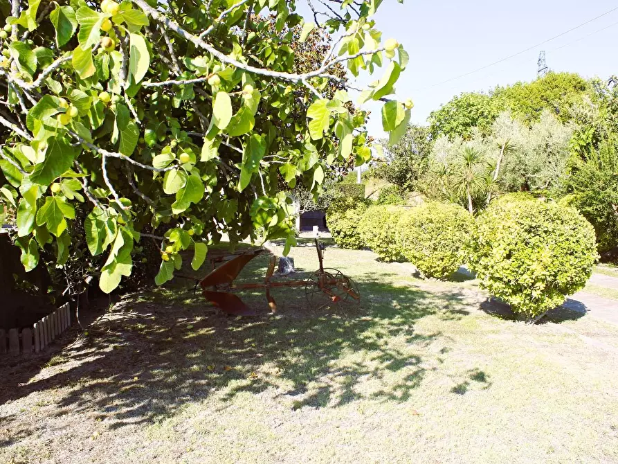 Immagine 10 di Villa in vendita  a Castellina Marittima