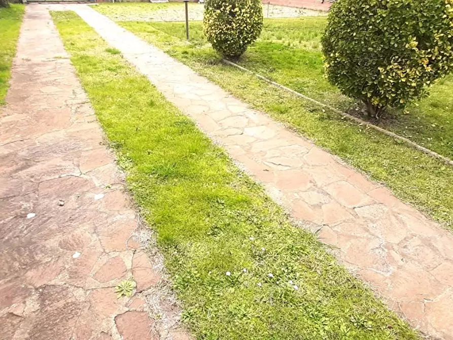 Immagine 15 di Villa in vendita  a Castellina Marittima