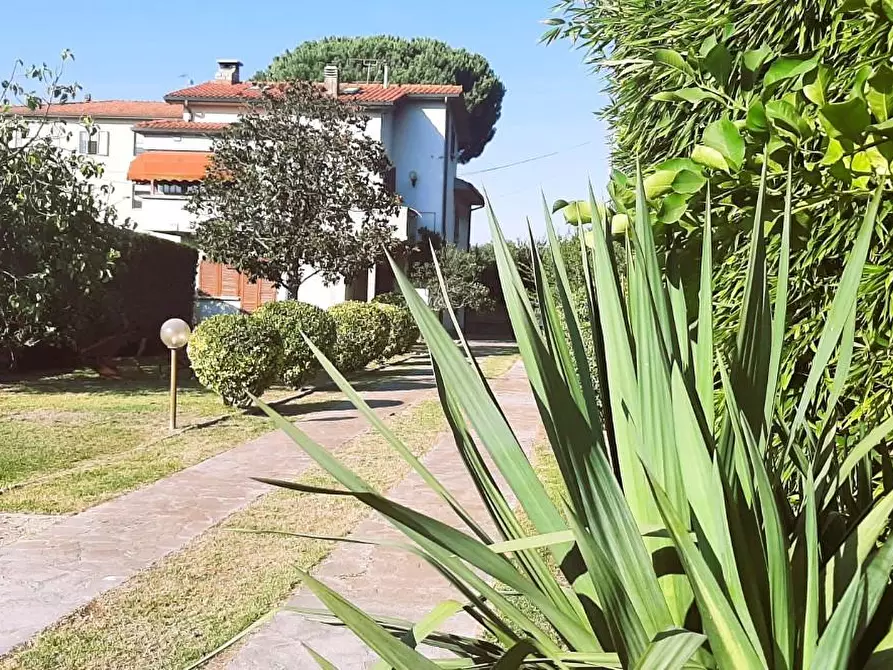 Immagine 3 di Villa in vendita  a Castellina Marittima