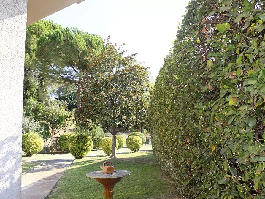 Immagine 6 di Villa in vendita  a Castellina Marittima