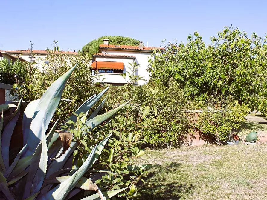 Immagine 7 di Villa in vendita  a Castellina Marittima