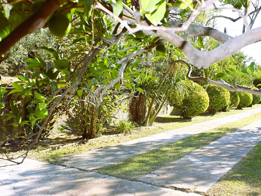 Immagine 5 di Villa in vendita  a Castellina Marittima