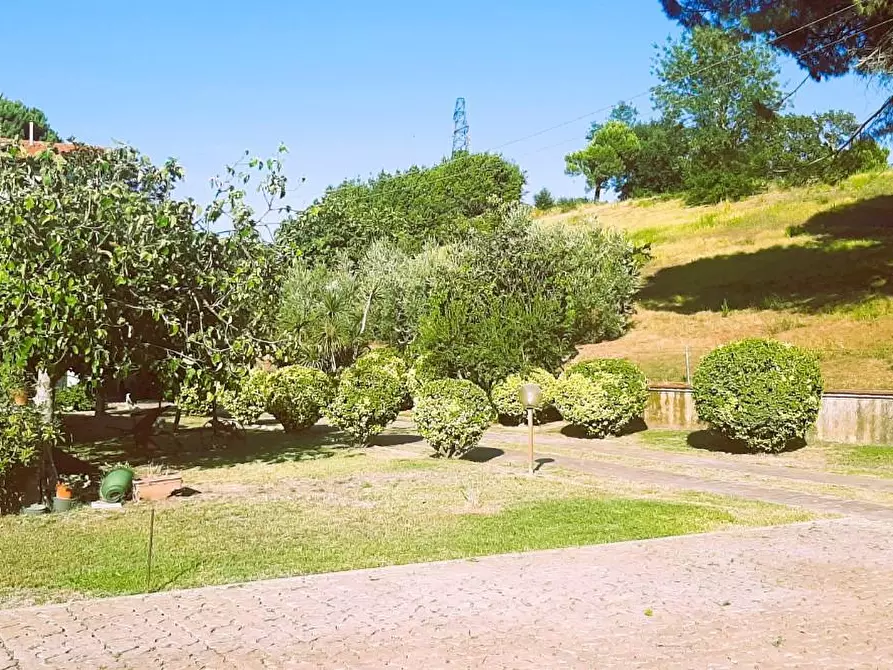 Immagine 16 di Villa in vendita  a Castellina Marittima