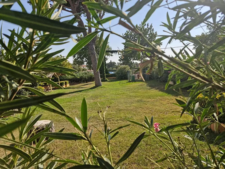 Immagine 15 di Appartamento in vendita  a Campiglia Marittima