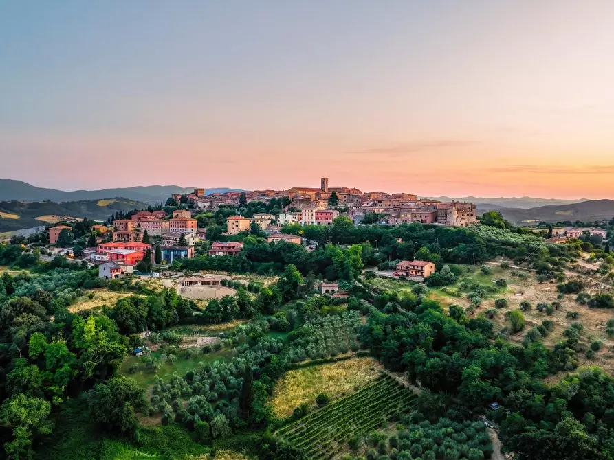 Immagine 82 di Casa colonica in vendita  a Casole D'elsa