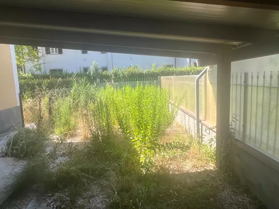 Immagine 5 di Casa semindipendente in vendita  a Palaia